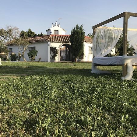 科尼尔-德拉弗龙特拉 Amarna Conil旅馆 外观 照片
